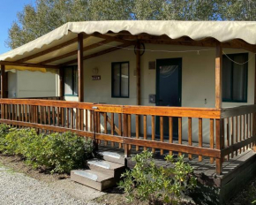 Comfort Mobilehome Camping in Viareggio R7